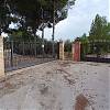  Chalet with 4 hectares productive olive land.